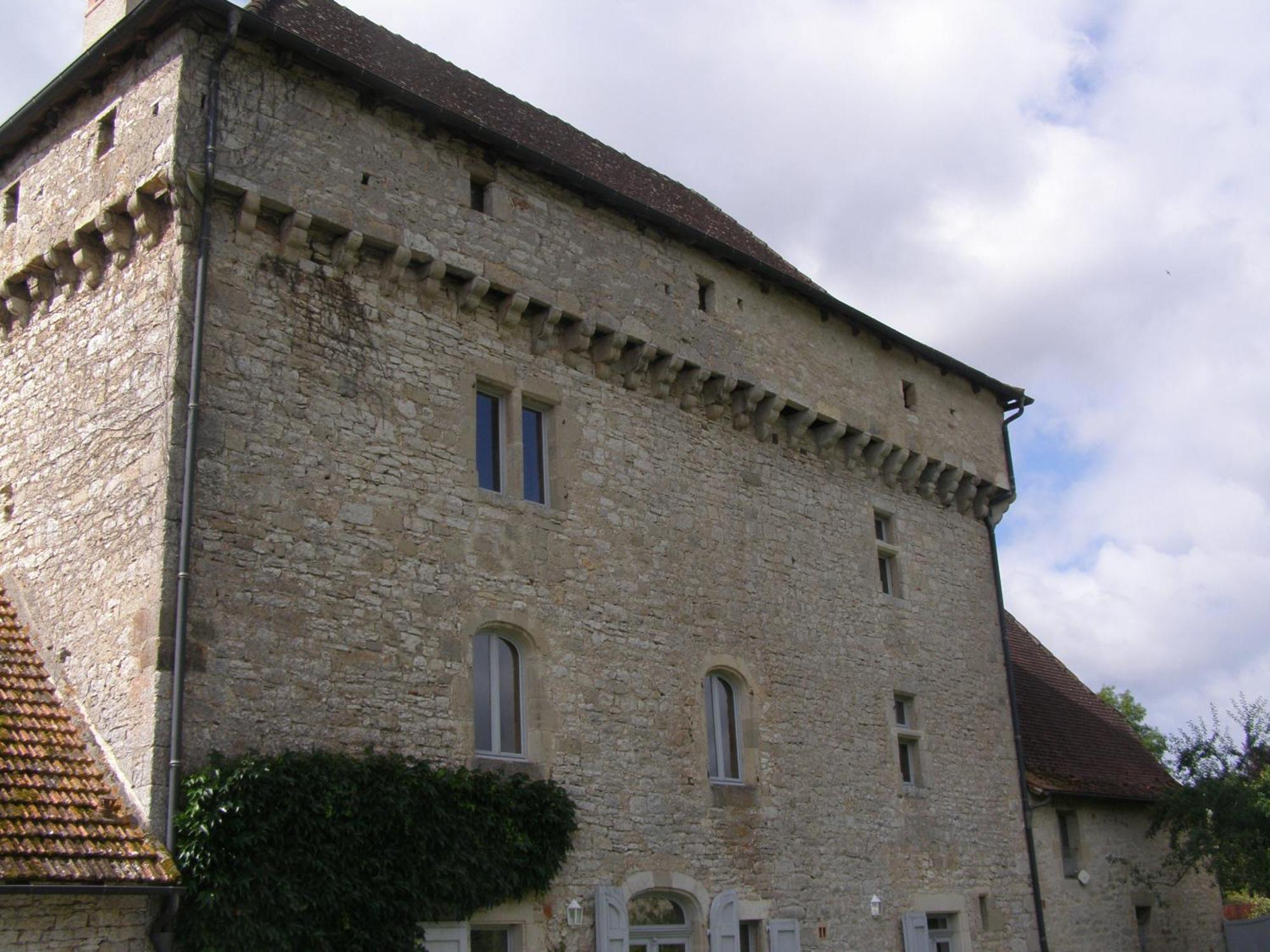 Chateau De Camboulan Ambeyrac Екстериор снимка
